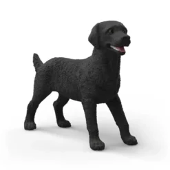 Hun Labrador Retriever i Sort