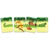 Kortspil Safari Croco