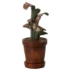 Krukke Med Plante