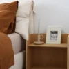 Lille Bog Reol