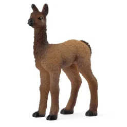 Llama Føl