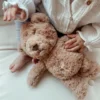 Lou Hjertelydsbamse Brun
