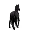 Lusitano Hingst