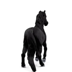 Lusitano Hingst