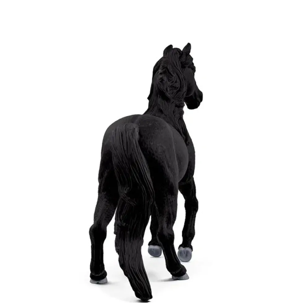 Lusitano Hingst