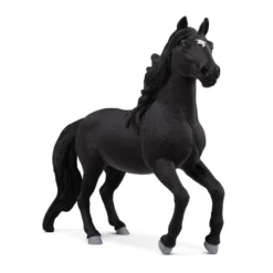 Lusitano Hingst