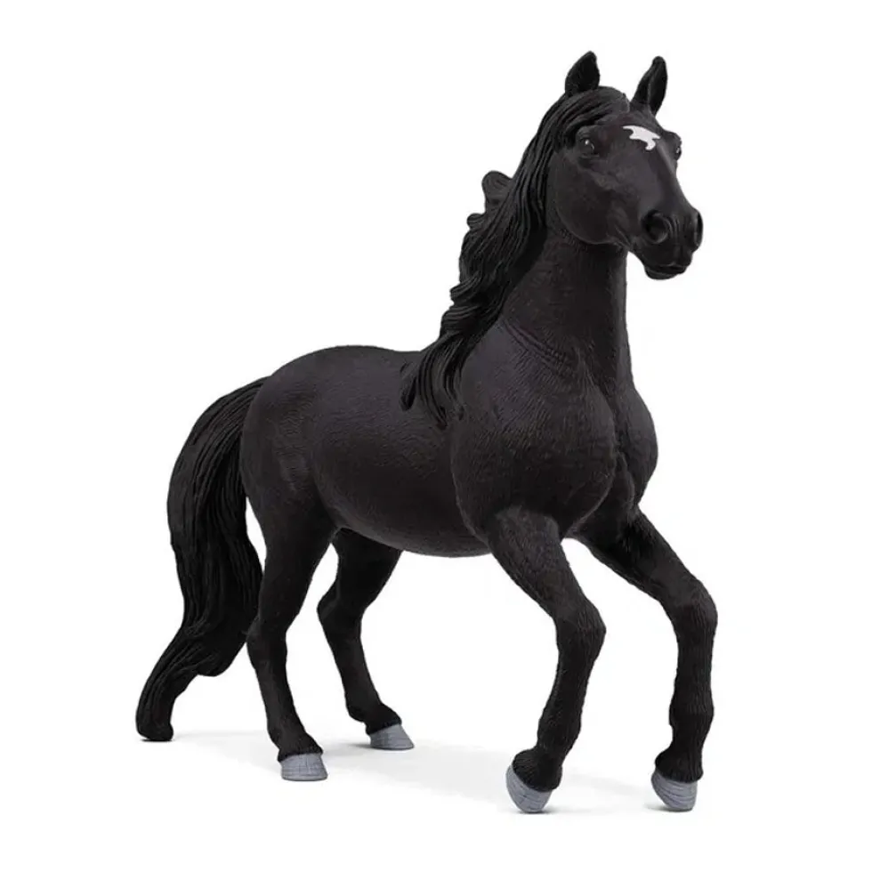 Lusitano Hingst