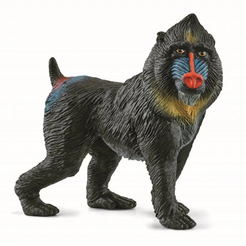 Mandrill