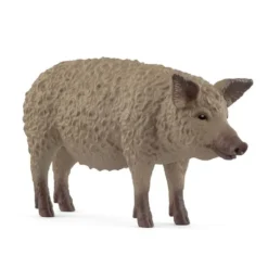 Mangalitza Gris