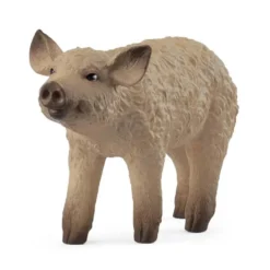 Mangalitza Grisling