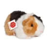 Marsvin Trefarvet (20 cm)