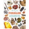 Min bog om fossiler