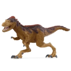 Moros Intrepidus