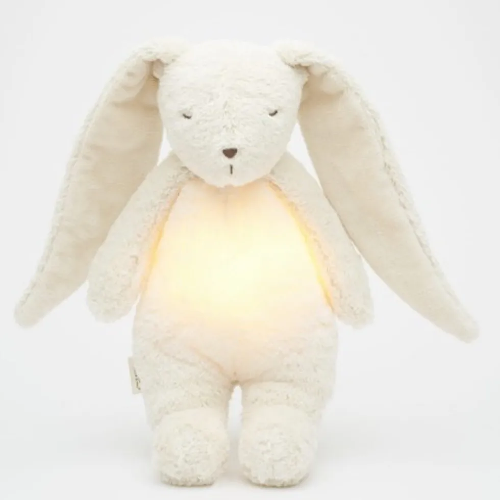 Organic Kanin Med Lampe i Polar Natur