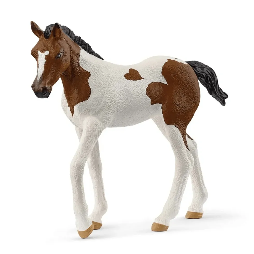 Paint Horse Føl
