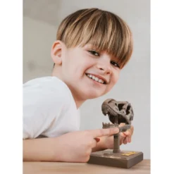 Roaring T-Rex Skull