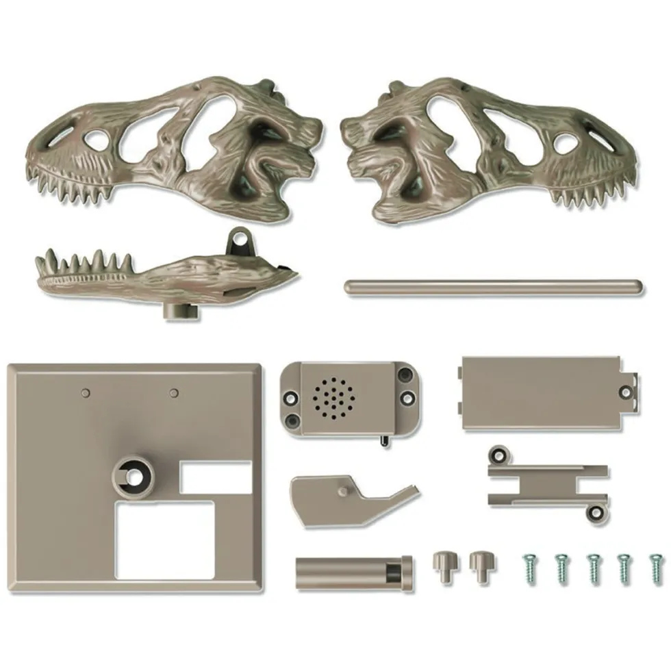 Roaring T-Rex Skull