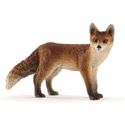 Ræv