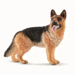 Schæferhund