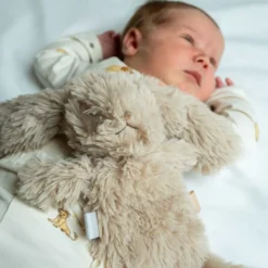 That's Mine Houston Heavy Teddy, Mini - Bunny