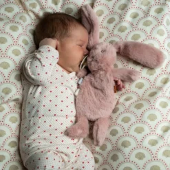 That's Mine Houston Heavy Teddy, Mini - Rose
