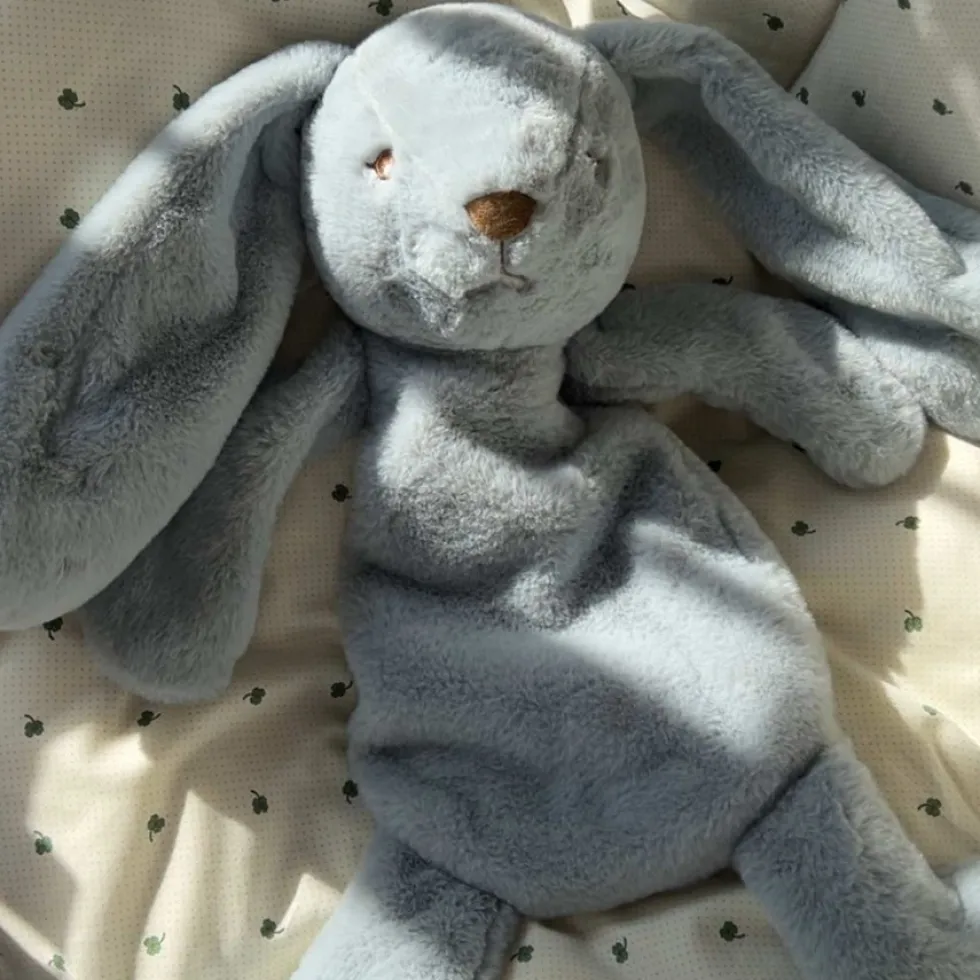 That's Mine Houston Heavy Teddy, Stor - Blue