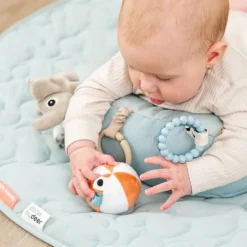 Tummy Time Playground Blue